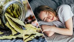 Why do some people put bay leaves under the pillow? Learned about their "magic" properties