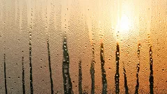 Windows will not fog up and will remain clean: this trick will help you forget about condensation for a long time.