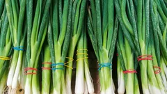 How to store green onions so they don't rot in the refrigerator is easier than it seems
