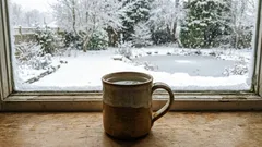 We put a mug of water on the windowsill: why, who knows?