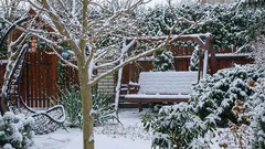 Important tasks to do in the garden and vegetable garden in January