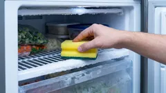 Why put a sponge in your refrigerator? This simple trick will save your old appliances from an annoying problem