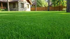 The best time to seed your lawn is not spring and here’s why