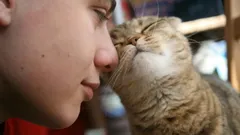 How a cat decides who it loves more