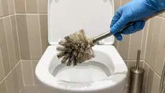 How to keep your toilet brush dry and odorless: a simple bathroom ritual.