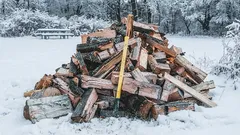 Top firewood storage mistakes: when firewood for the fireplace attracts pests