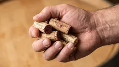 Upcycling treasure: repair furniture that scratches the floor and makes noise with a cork