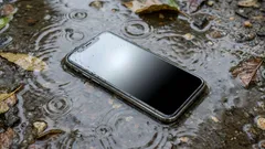 What to do if your phone falls into water — modern instructions